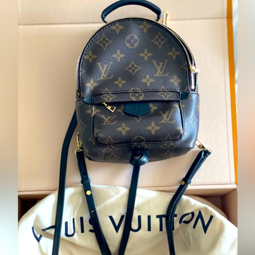 Louis Vuitton Palm Springs Mini backpack 2021